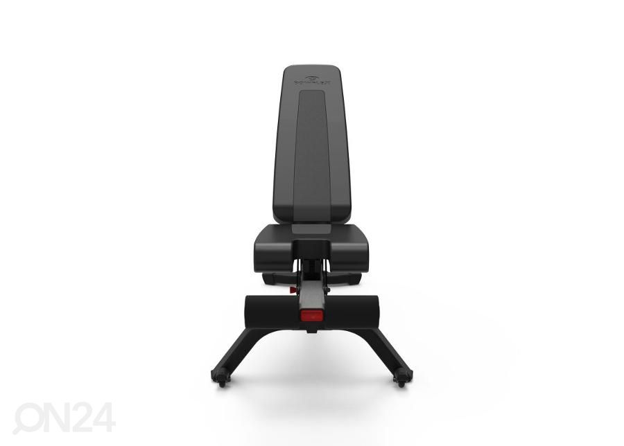 Treeningpink Bowflex 4.1S 100918 suurendatud