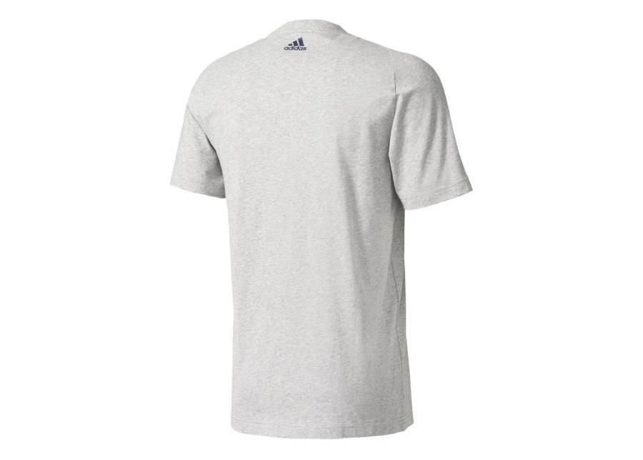 Vabaajasärk meestele adidas Essentials Big Box Logo Tee M S98725 suurendatud