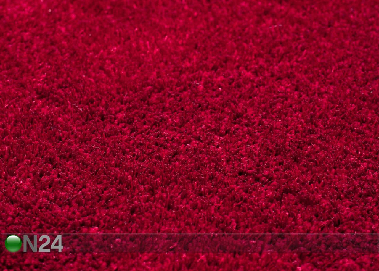 Vaip Alessia 160x230 cm suurendatud