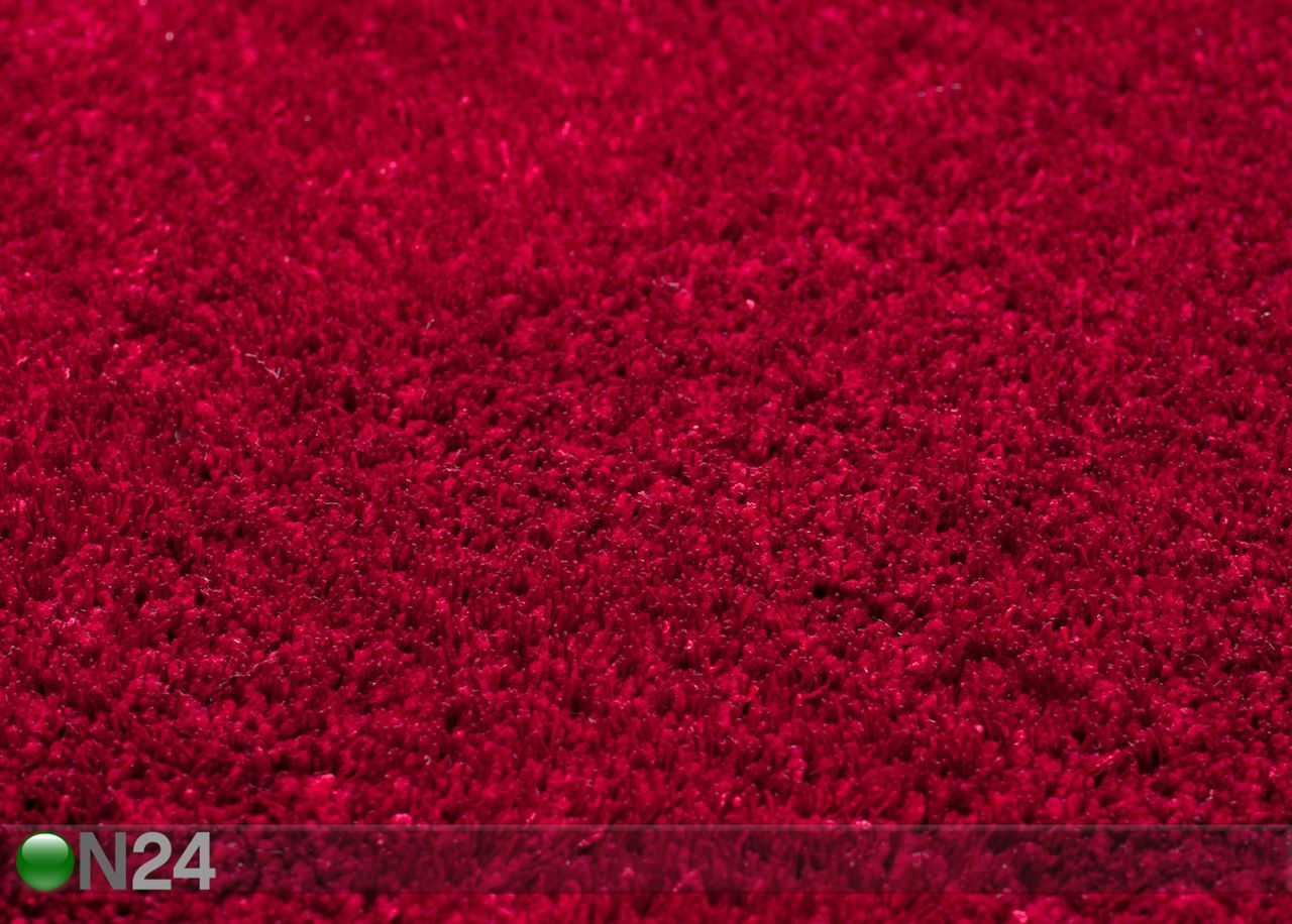 Vaip Alessia 50x80 cm suurendatud