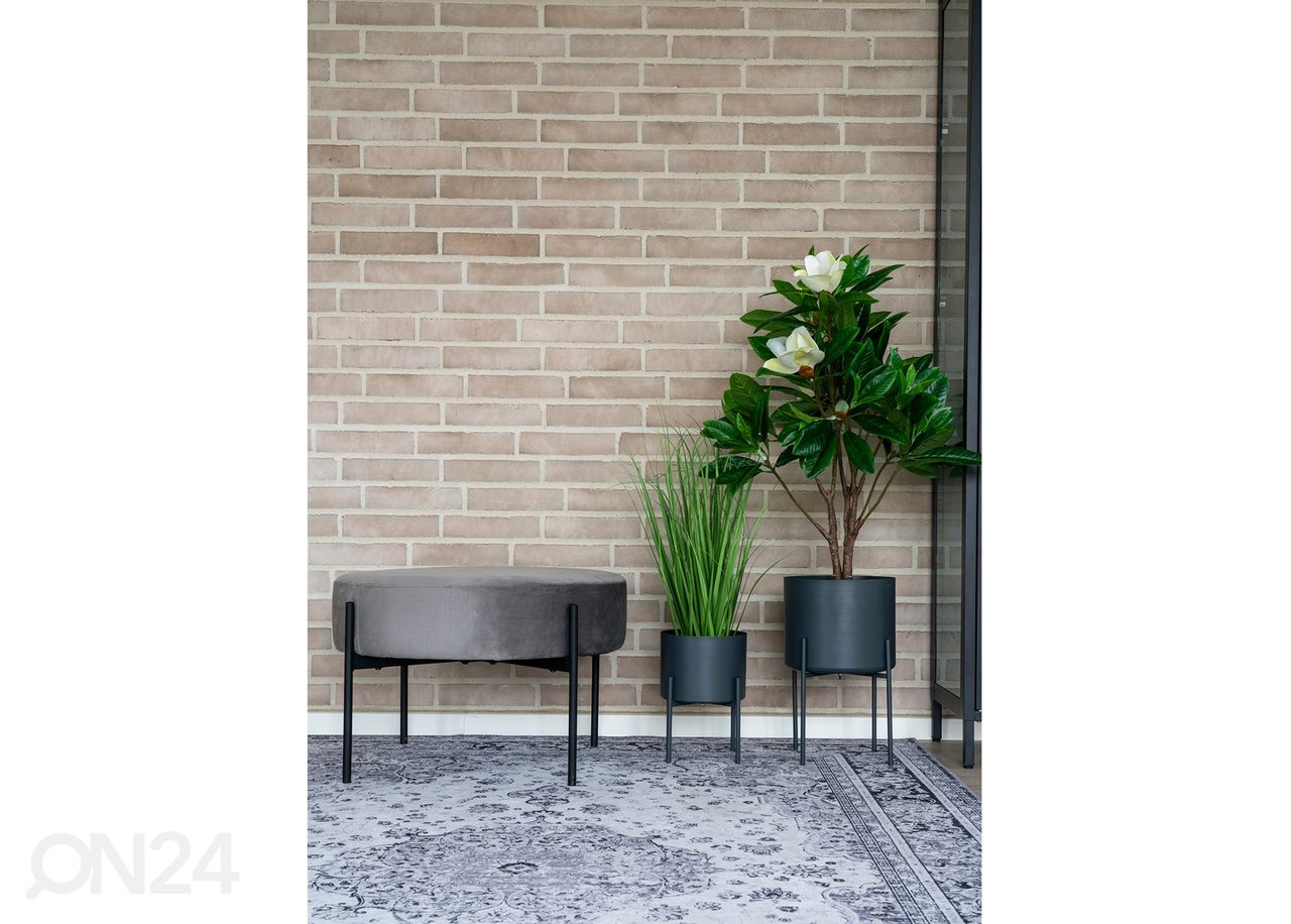 Vaip Cabaiguán 160x230 cm suurendatud