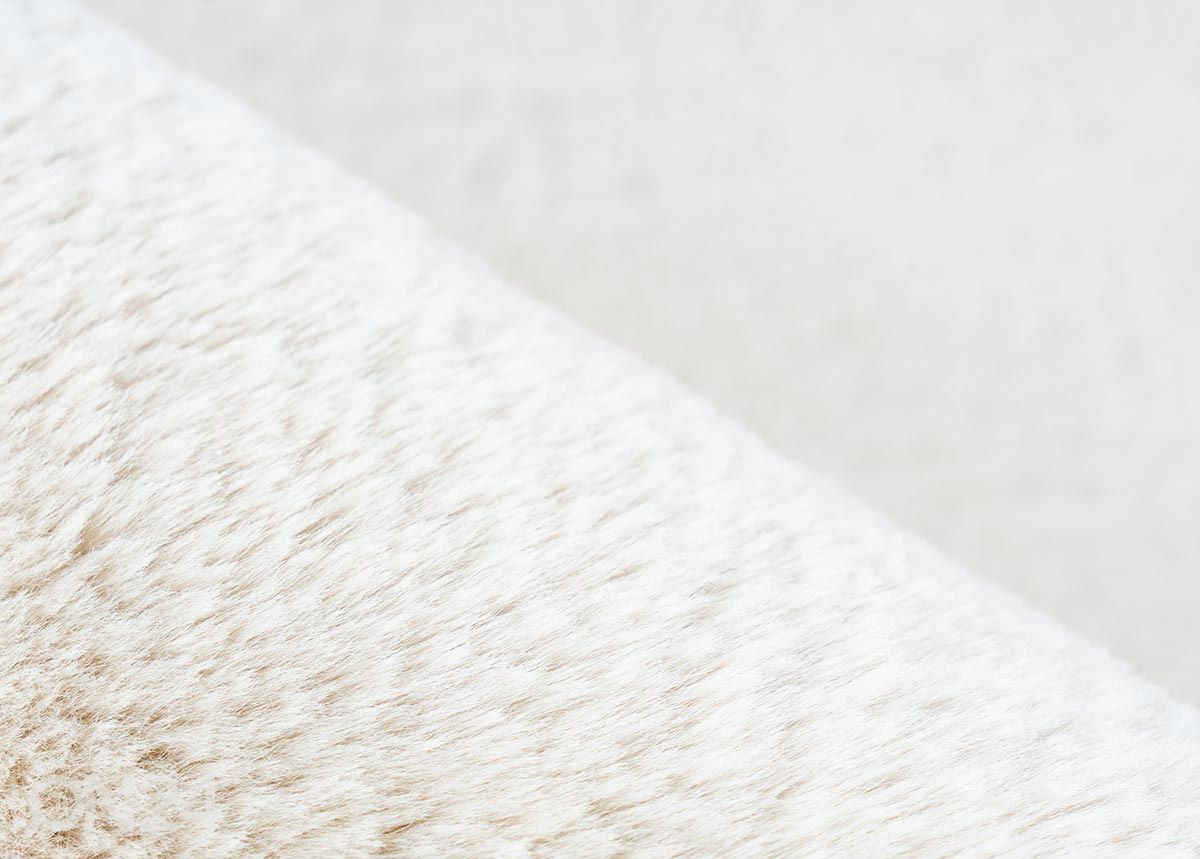Vaip Emotion Cream 160x230 cm suurendatud