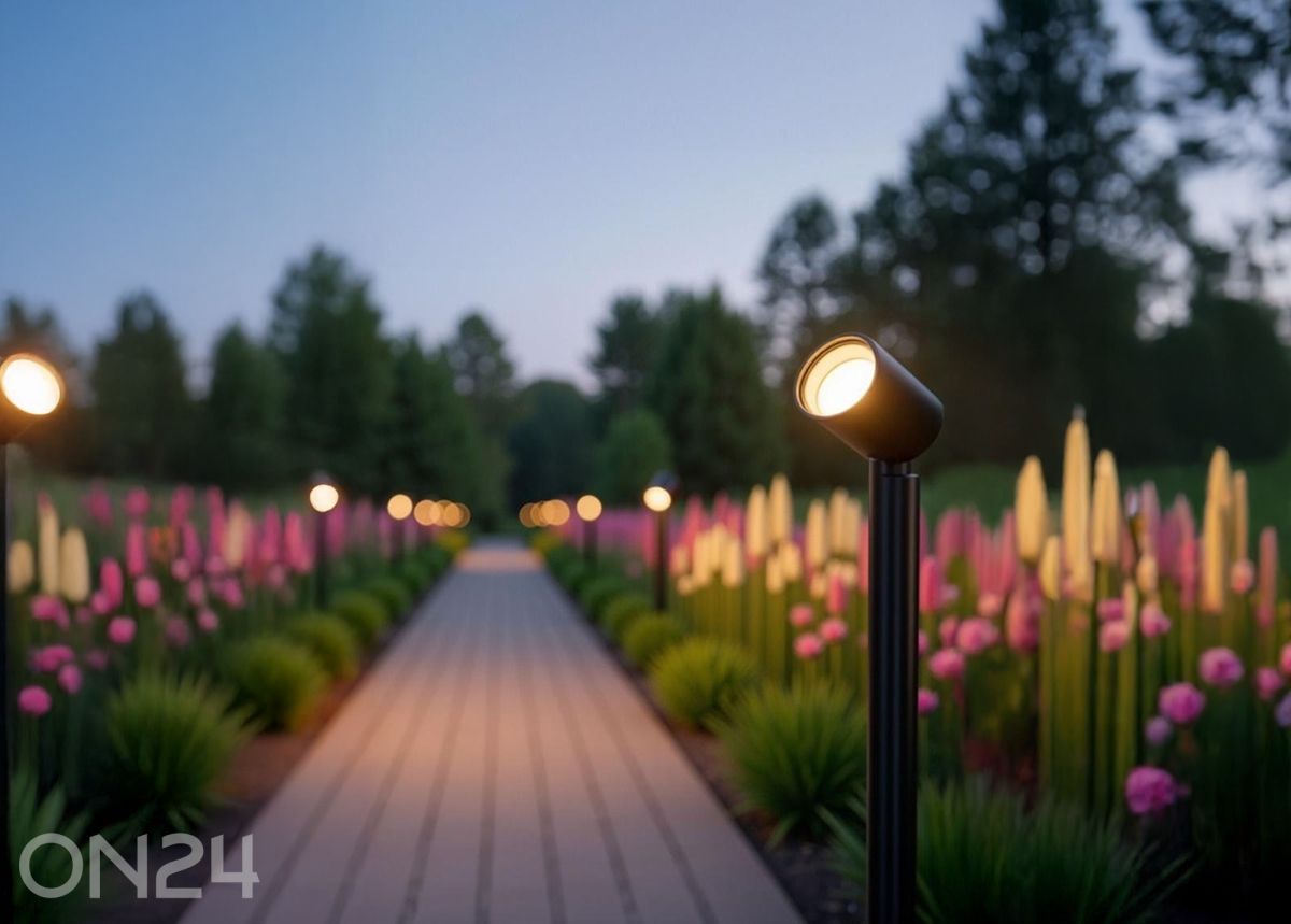 Välisvalgusti Nocturne suurendatud