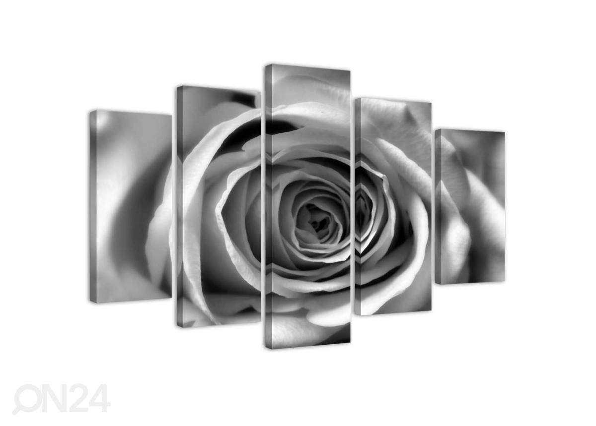 Viieosaline seinapilt Rose Flower 100x70 cm suurendatud