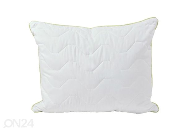 Aloe Vera tepitud padi 50x60 cm mõõdud