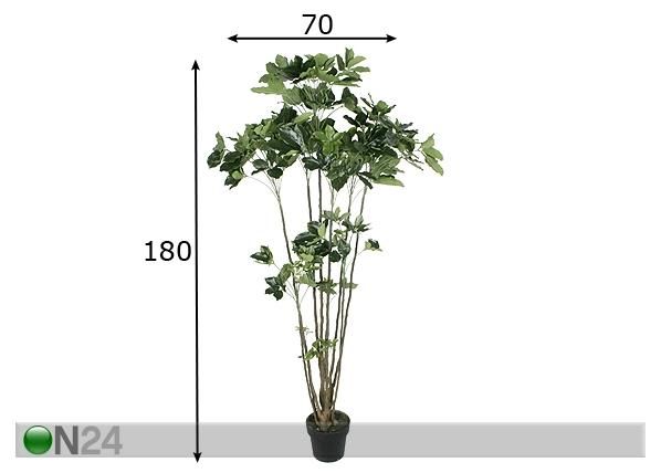 Arelia 180 cm mõõdud