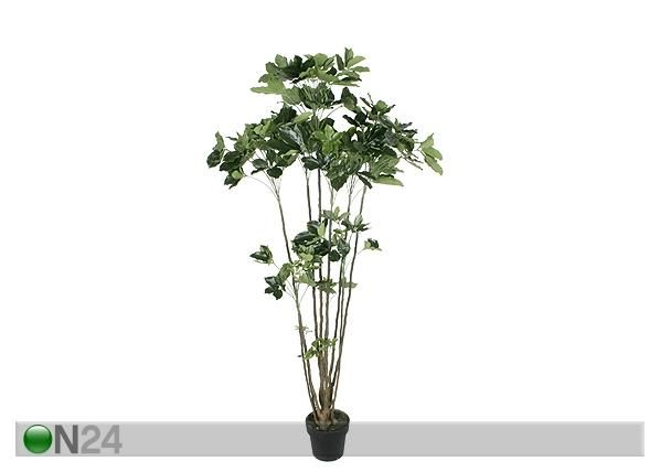 Arelia 180 cm