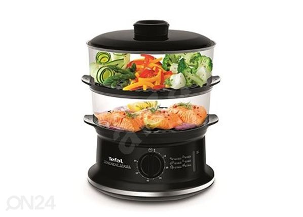 Aurutaja Tefal
