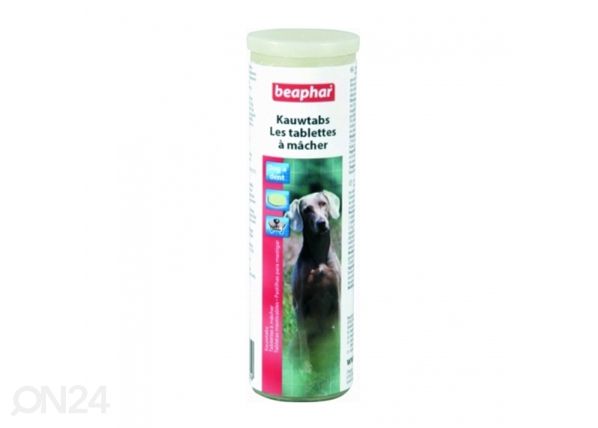 Beaphar Fresh Breath Tablets suuvärskendustabletid