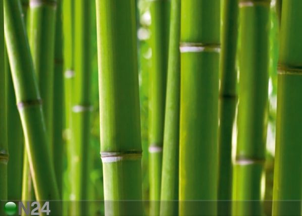 Fliis-fototapeet Bamboo 360x270 cm