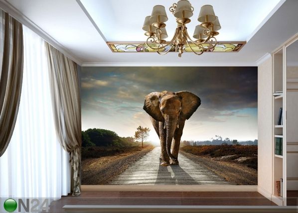 Fliis-fototapeet Big elephant 360x270 cm