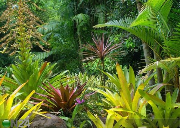 Fliis-fototapeet Deep Jungle 360x270 cm