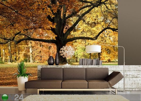 Fliis-fototapeet Oak tree 360x270 cm