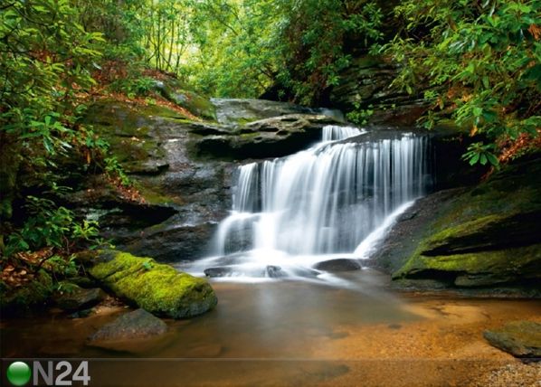 Fliis-fototapeet Waterfall 4 360x270 cm