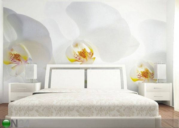 Fliis-fototapeet White orchid 360x270 cm