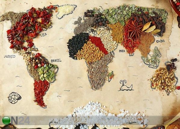 Fliis-fototapeet World spice 360x270 cm