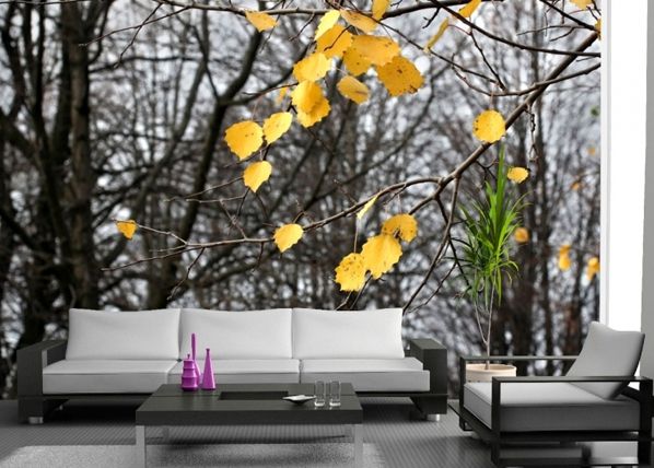Fliis-fototapeet Yellow leaves 360x270 cm