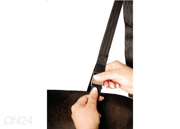 Groomingulaua rihmade komplekt heavy duty 2,5 cm