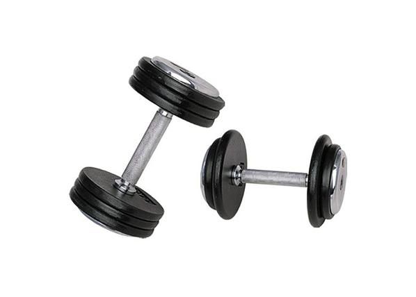 Hantel ProfiST 2,5kg inSportline