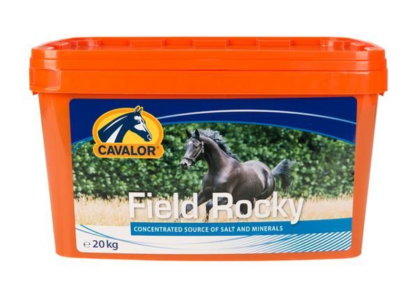 Hobuse lakukivi koplisse field rocky 20 kg