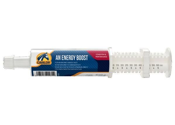 Hobuse täiendsööt energia energy boost 60 g