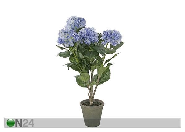 Hortensia 100 cm