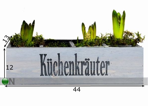 Istutuskast mõõdud