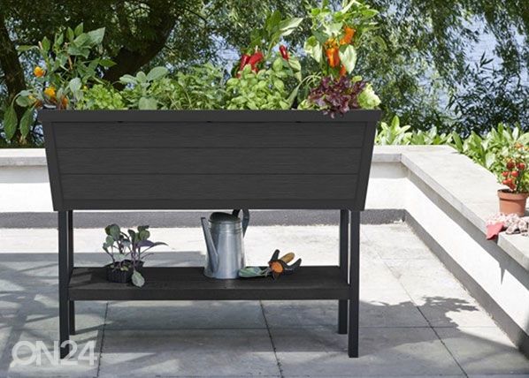 Istutuskast Keter Alfresco, antratsiit