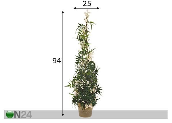 Jasmiini püramiid 94 cm mõõdud