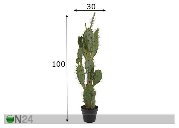 Kaktus 100 cm mõõdud