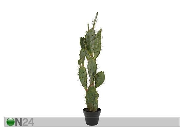 Kaktus 100 cm