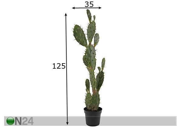 Kaktus 125 cm mõõdud