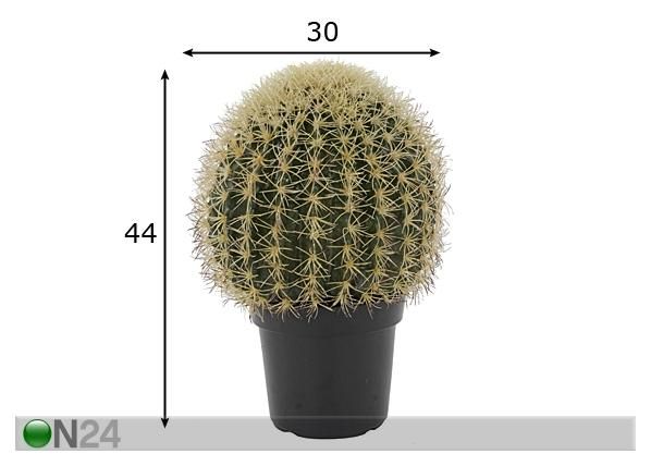 Kaktus potis 44 cm mõõdud