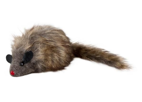 Kassi mänguasi molly hiir naistenõges helisev valik