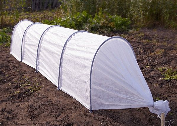 Kasvulava Agrohex 1,1x6 m