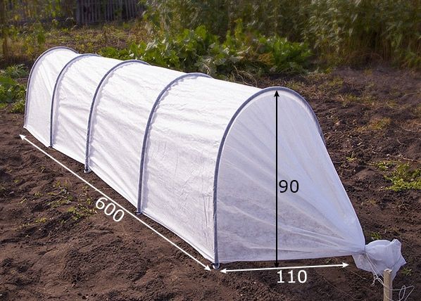 Kasvulava Agrohex 1,1x6 m mõõdud