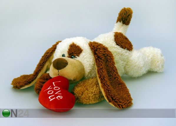 Koer Valentin 38 cm
