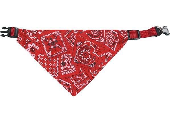 Koera kaelarihm ja rätt 35/50 cm 20 mm punane