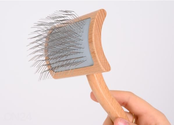 Koera kraas transgroom vene s