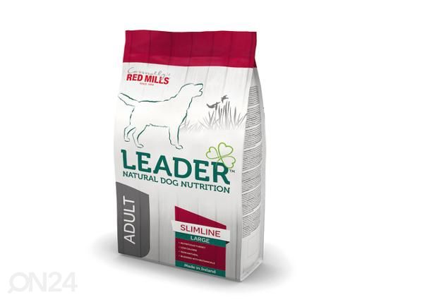 Koera täissööt slimline suur tõug 2 kg