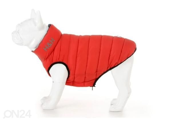 Koera vest kahepoolne L 65 punane/sinine
