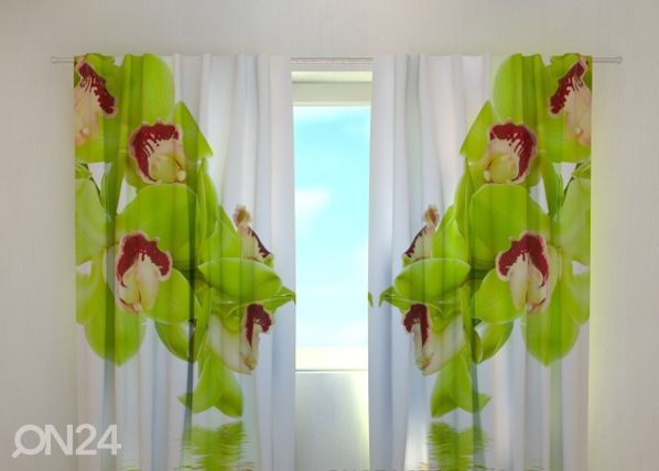 Läbipaistev kardin Lime coloured orchid 240x220 cm