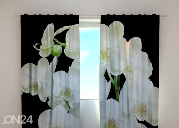 Läbipaistev kardin Yin Yang orchid 240x220 cm