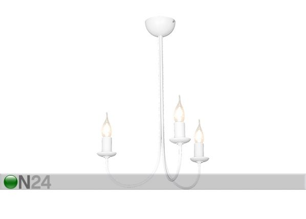 Laelamp Feb