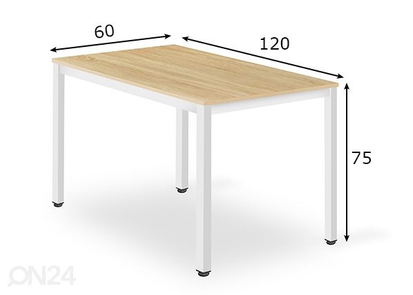 Laud 60x120 cm, tamm mõõdud