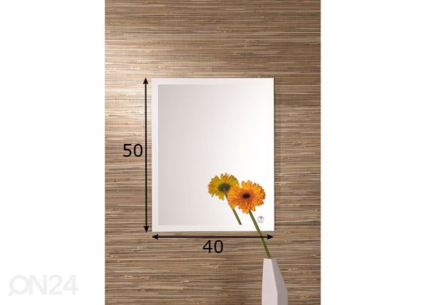 Peegel Lorena 2 40x50 cm mõõdud
