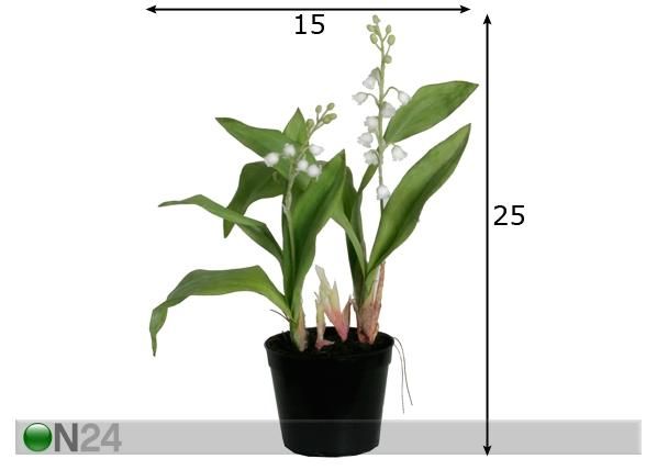 Piibeleht 25 cm mõõdud