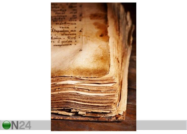 Pilt Ancient Book 40x60 cm