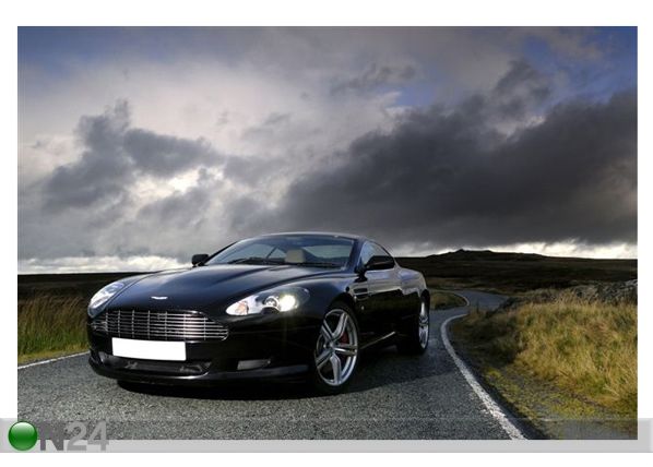 Pilt Aston Martin DB9s 60x40 cm