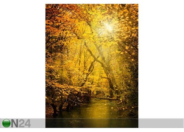 Pilt Autumn Leaf 1 70x93 cm